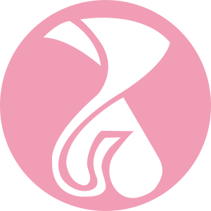 鳳新高中LOGO